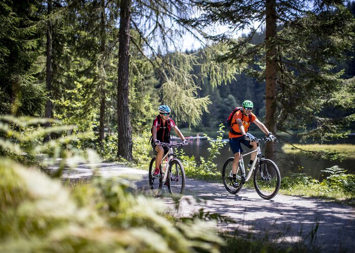 Cycling at the Schattensee in the Styrian Krakau | © Steiermark Tourismus | Tom Lamm