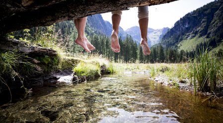 Summer in the Green Heart of Austria | © Steiermark Tourismus | Tom Lamm