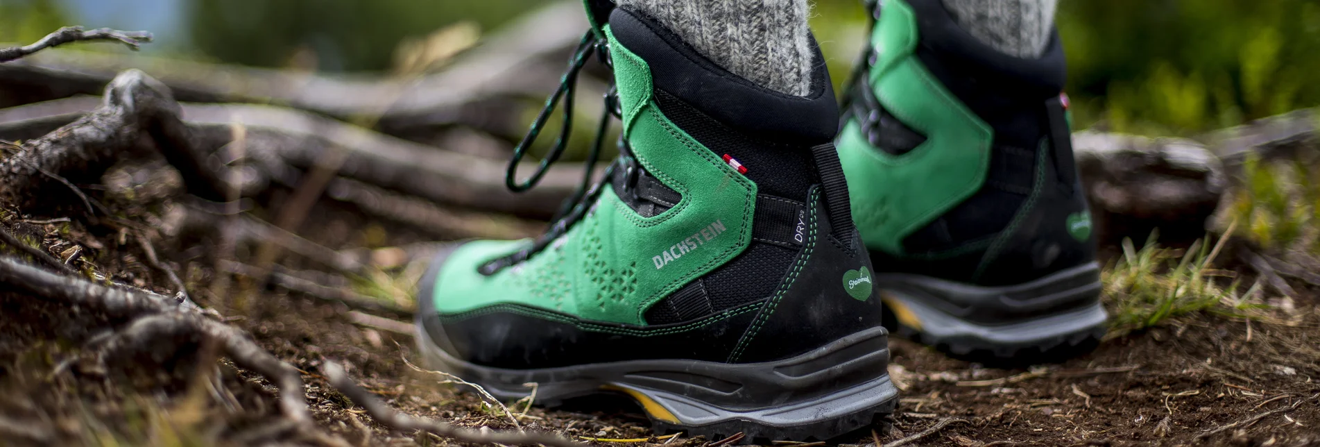 Hiking on the hiking route "From the glacier to the wine" | © Steiermark Tourismus | Tom Lamm