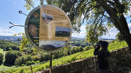 Geo Trail Kapfenstein close to the wine-growing estate Winkler-Hermaden | © Steiermark Tourismus | Günther Steininger