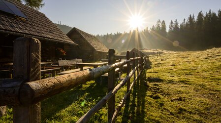 On the Viehbergalm | © Steiermark Tourismus | Pixelmaker