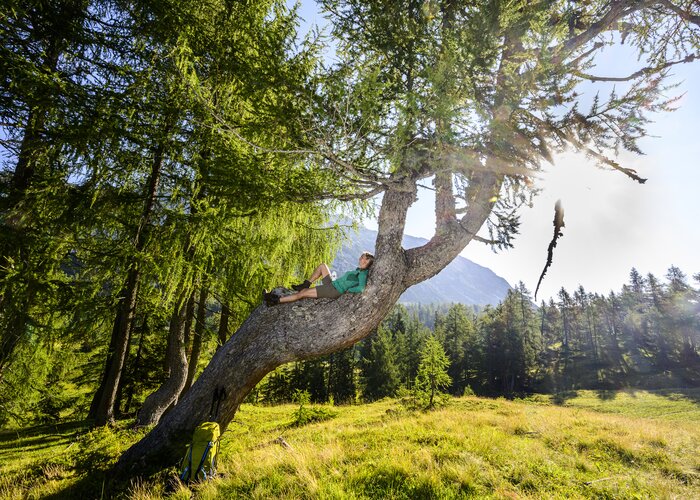 Rest on the way to the Tauplitzalm | © Steiermark Tourismus | Pixelmaker