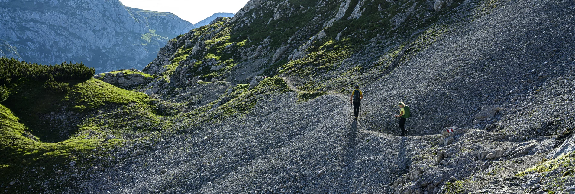 On the way from Guttenberghaus to Stoderzinken | © Steiermark Tourismus | Pixelmaker