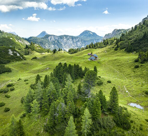 Grafenbergalm | © Steiermark Tourismus | Pixelmaker