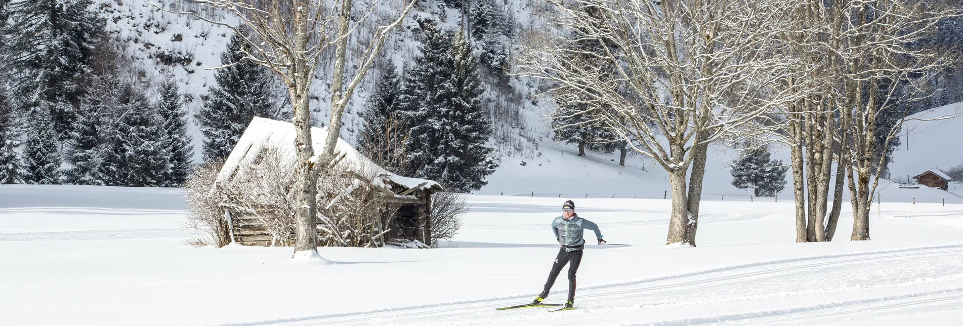 PackageWinterhit für Langläufer - Naturerlebnis in der Ramsau