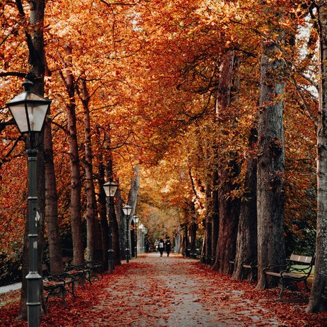 Herbst im Grazer Stadtpark | © AdobeStock | Daniel J. Schwarz