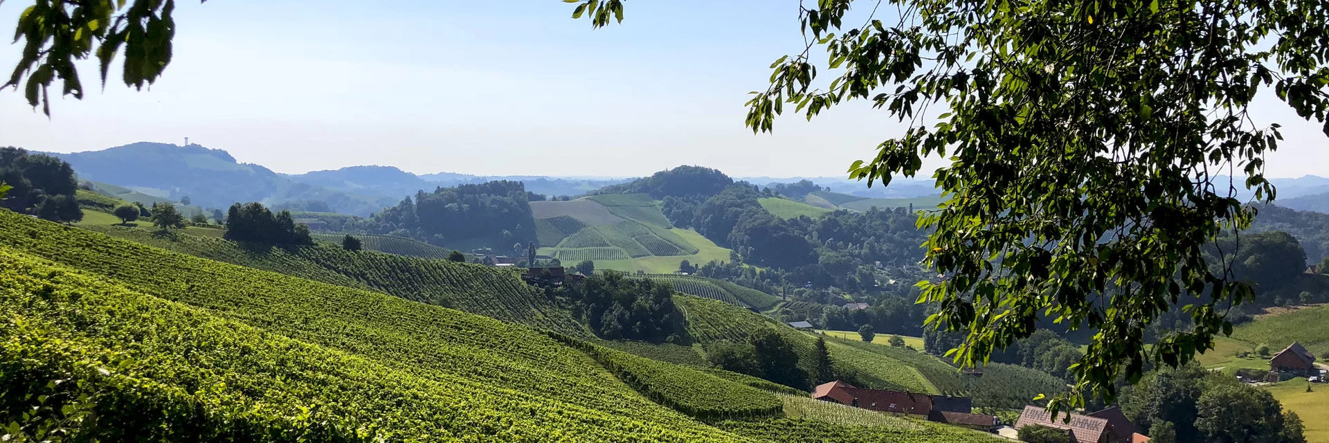 Südsteiermark: Wanderroute "Vom Gletscher zum Wein" (Etappe 24, Südroute) | © Steiermark Tourismus / Martina Traisch Südsteiermark: Wanderroute "Vom Gletscher zum Wein" (Etappe 24, Südroute) | © Steiermark Tourismus / Martina Traisch