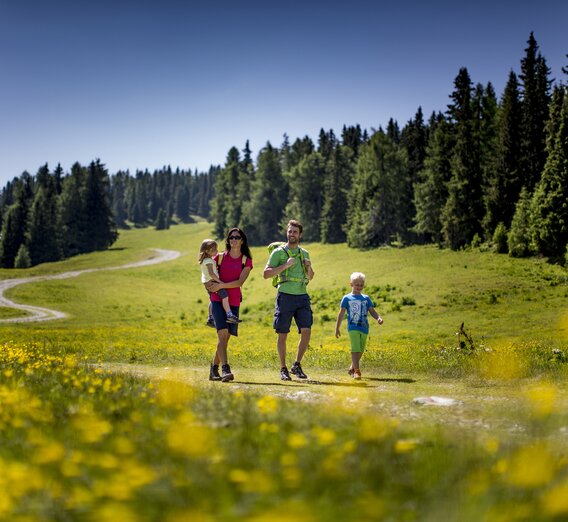 © Steiermark Tourismus / ikarus.cc | Tom Lamm
