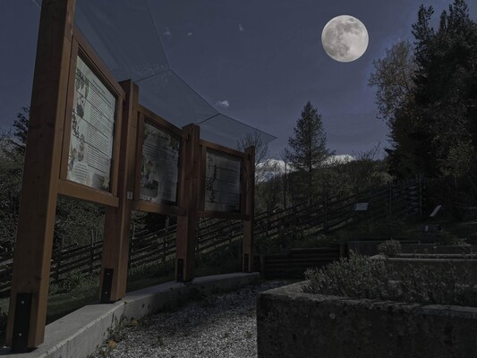 Full moon hike_Pöllau_Eastern Styria | © Alpenkräutergarten Käfer