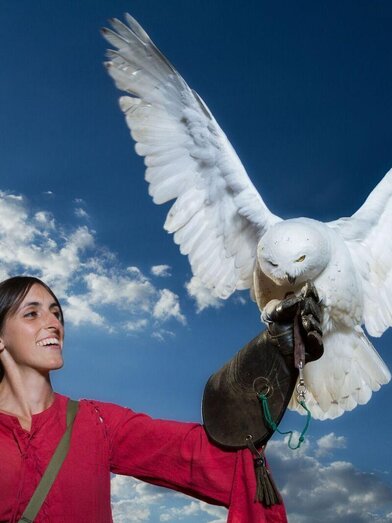 Greifvogelflugschau | © TV Hochsteiermark,  Domenik Hutter | © TV Hochsteiermark,  Domenik Hutter