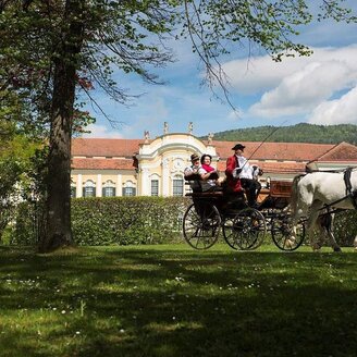 The castle_coach_Eastern Styria | © Der Schlosskutscher/Bergmann
