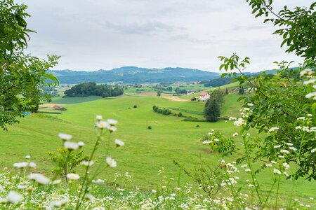 Aussicht vom Flambergerhof | © RM SW GmbH | webquartier.at