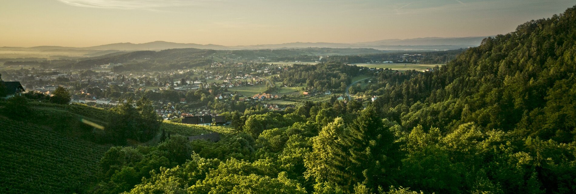 Schilcherland | ©  TVB Südsteiermark – Lupi Spuma