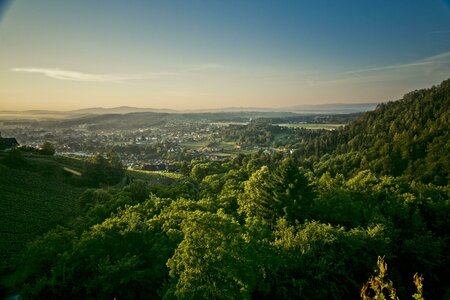 Schilcherland | ©  TVB Südsteiermark – Lupi Spuma