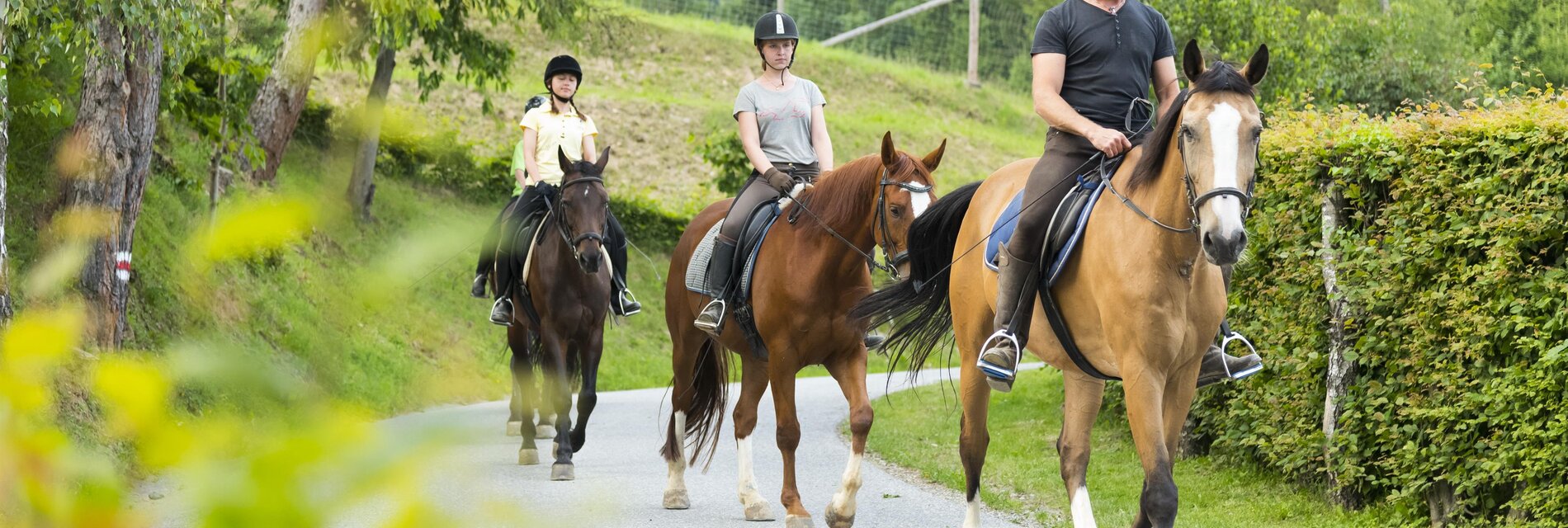 Muhr Erich_Horserider in Nature_Easten Styria | © Hotel Muhr