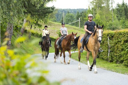 Muhr Erich_Horserider in Nature_Easten Styria | © Hotel Muhr