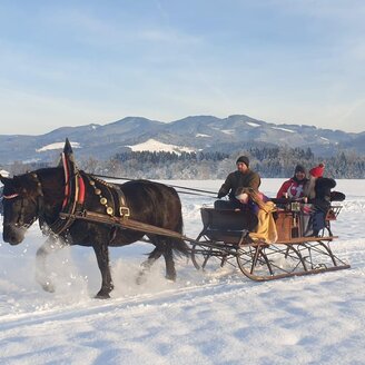 Deutinger-Kutsche-Murtal-Steiermark | © Fam. Deutinger