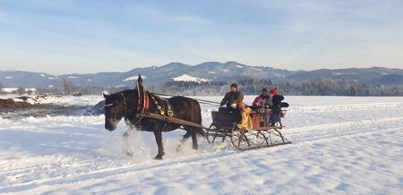 Deutinger-Kutsche1-Murtal-Steiermark | © Norikerhof Deutinger