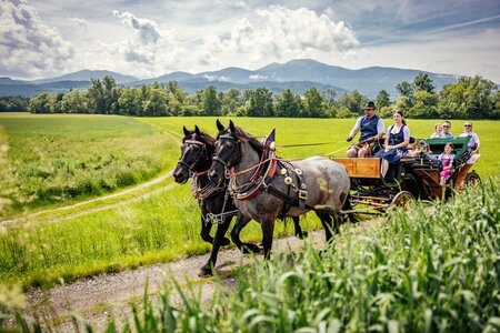 Deutinger-Kutsche3-Murtal-Steiermark | © Anita Fössl