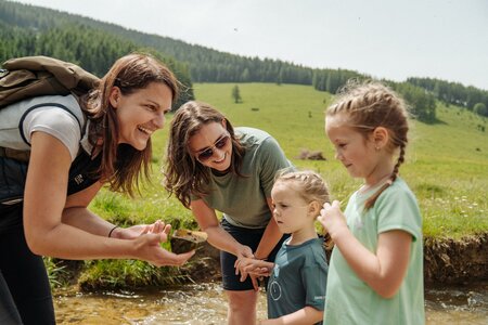 Entdecken_Naturparkführung_Oststeiermark | © studio draussen