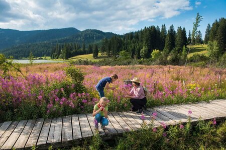 Teichalmmoor_Oststeiermark | © Naturpark Almenland