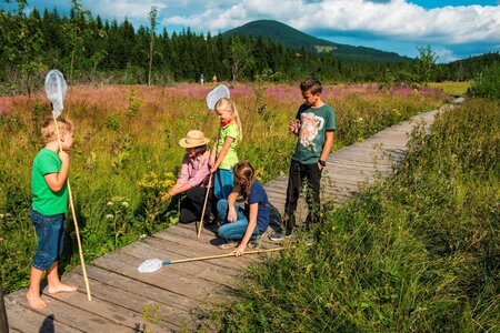 Teichalmmoor_Kinder_Oststeiermark | © Naturpark Almenland