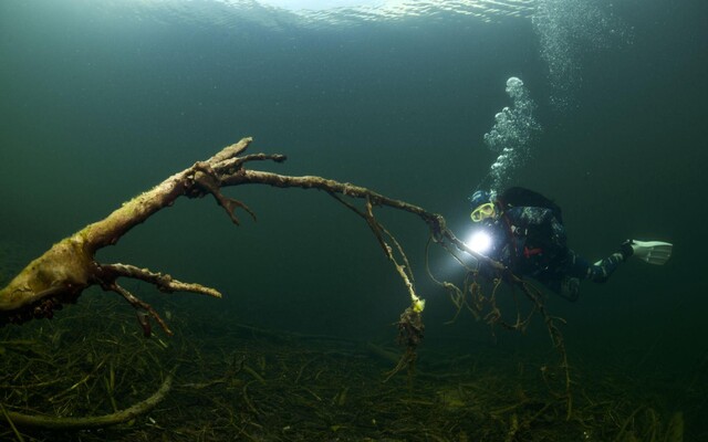 Diving Course, Grundlsee, Diving | © Jürgen H. Gangoly