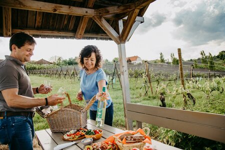 Picknick im Weingarten Bergstadl Bad Waltersdorf | © Bergstadl GmbH & Co KG