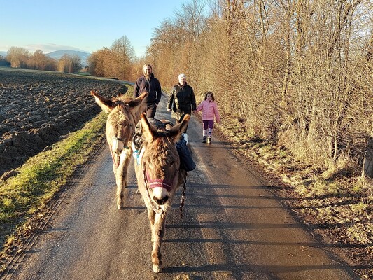 Eselwanderung_Wanderung_Oststeiermark | © Mariette Schindler