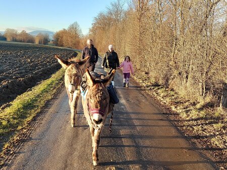 Eselwanderung_Wanderung_Oststeiermark | © Mariette Schindler