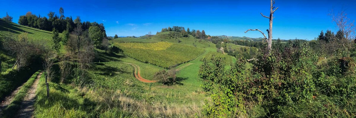 Wanderung in illyrischer Mischkultur-Landschaft