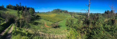 Wanderung in illyrischer Mischkultur-Landschaft