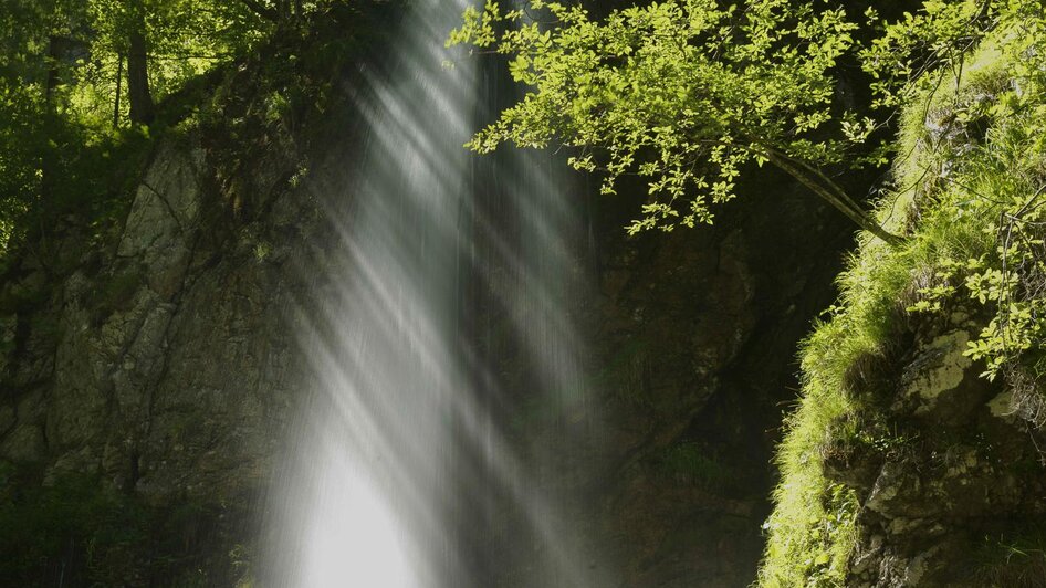 "Wilde Wälder" - Fotowanderung im Frühling 31.05.2025 - Impressionen #2.2