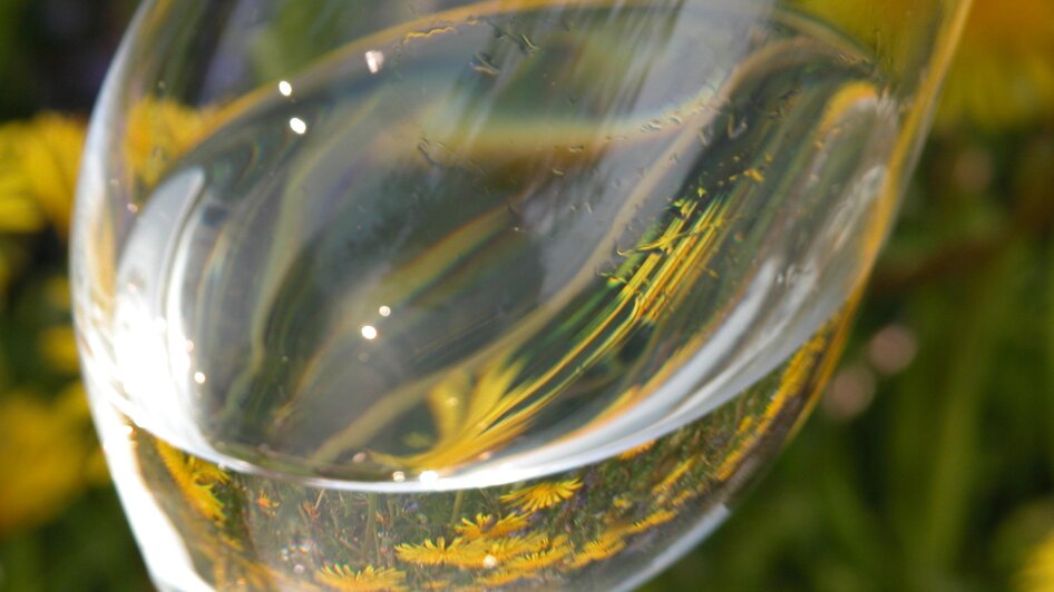 Die Hundert Besten Weine in Fürstenfeld - Impressionen #2.2