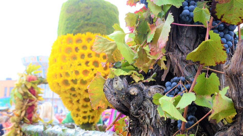 Weinlesefest 2 | © IG Tourismus Gamlitz
