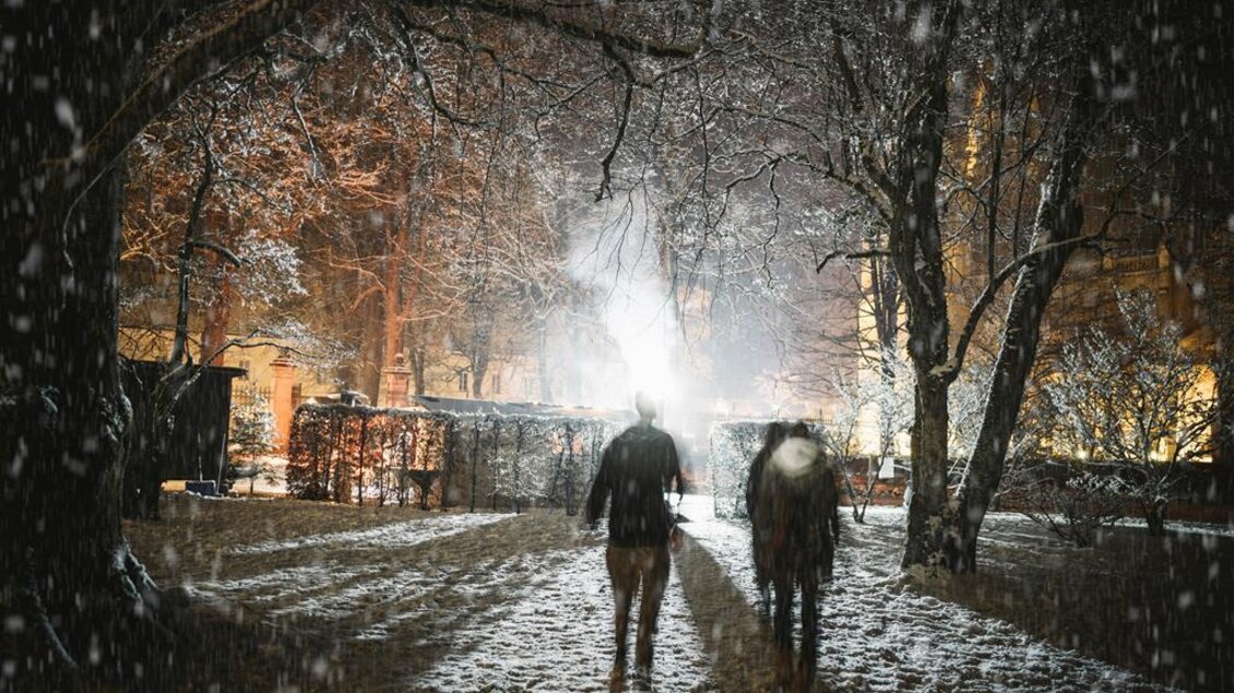 Zwei Personen gehen durch einen verschneiten Park bei Nacht. Die Umgebung ist von Schnee bedeckt und es fallen sanfte Schneeflocken.