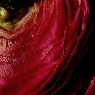 House of Women_Vernissage_Eastern Styria | © AndersOrt Haus der Frauen