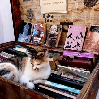 Bücher-Flohmarkt | © Simon Zehetmayer