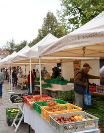 Bauernmarkt | © Stadtgemeinde Fürstenfeld | Stadtgemeinde Fürstenfeld | © Stadtgemeinde Fürstenfeld