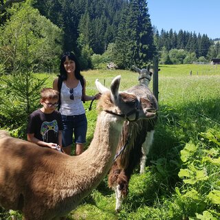 Lamawanderung mit Kids | © Lama-Touren auf der Alm-Orso-Gigleitner