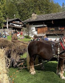 Draught horses with hay wagon  | © ÖFM | © ÖFM