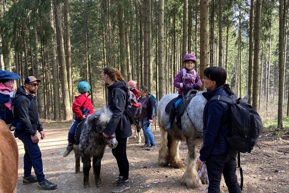 Kinder reiten auf Ponys im Wald. Die Gruppe steht auf einem Waldweg, umgeben von hohen Bäumen. | © ABC Hufis