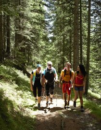 Wandern-Hohentauern-Murtal-Steiermark | © Erlebnisregion Murtal | Herbert Raffalt | © Erlebnisregion Murtal