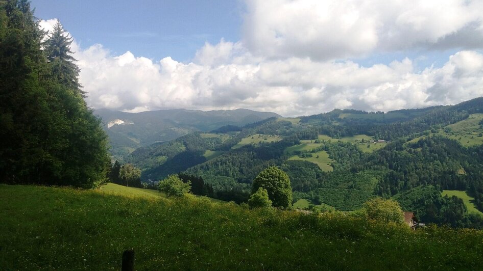 Hügellandschaft der Lipizzanerheimat | © Heinz Kaltschmidt