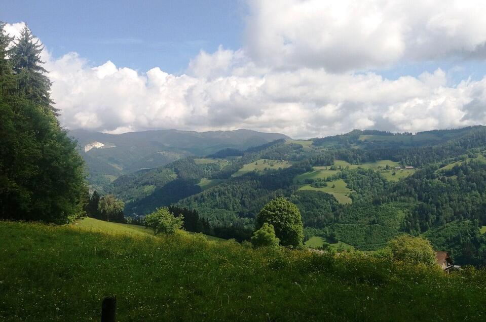 Hügellandschaft der Lipizzanerheimat | © Heinz Kaltschmidt