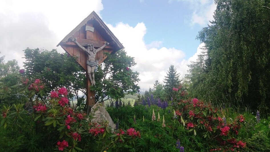 Geführte Wanderung: Über die grünen Hügel der Lipizzanerheimat - Impressionen #2.1