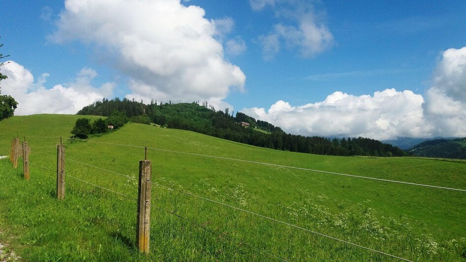 Wanderweg durch Felder | © Heinz Kaltschmidt
