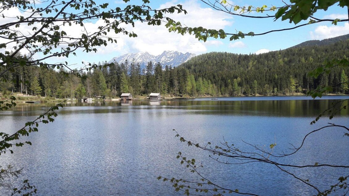Ein See liegt mitten im Wald und am Ufer stehen vereinzelt kleine Bootshäuser und ein Badesteg führt ins Wasser.  | © Daniela Casari
