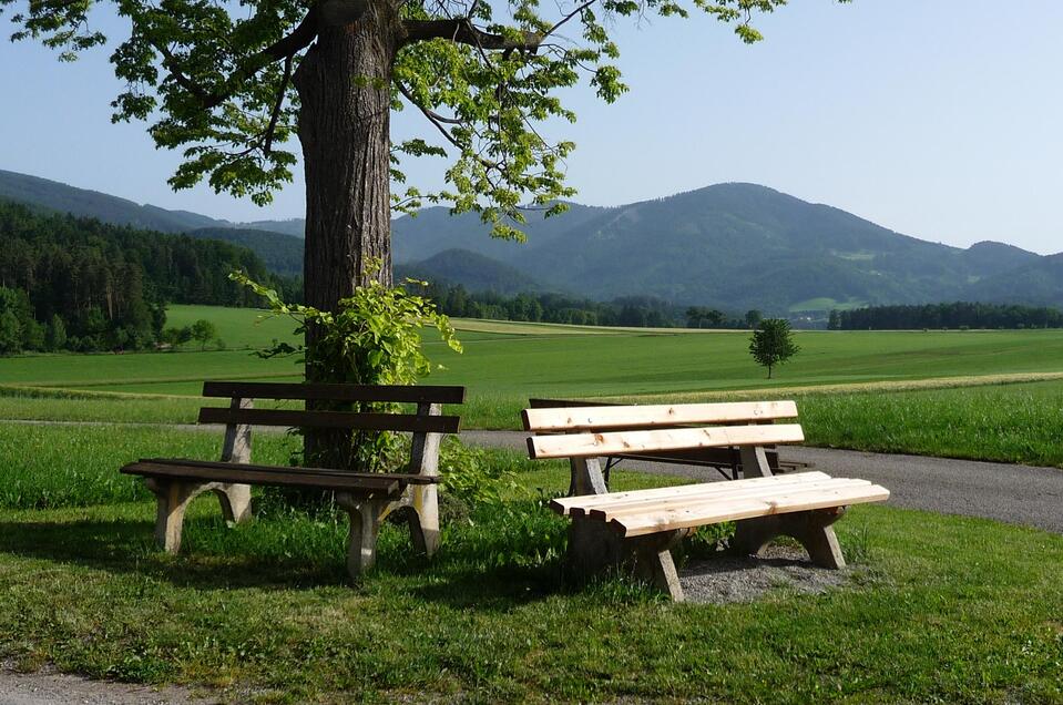 Bankerl_Landscha_Oststeiermark | © Gemeinde Thannhausen