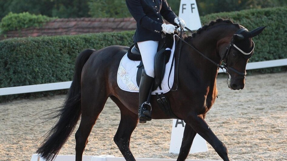 Hartberger Reitturniere_Susi Weghofer | © Weghofer